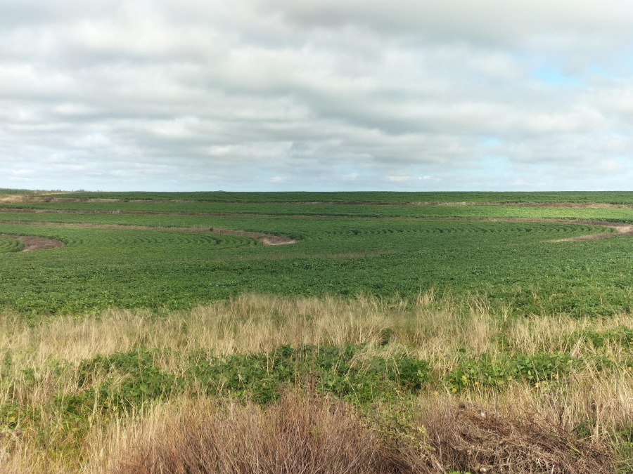 4 Bedroom Property for Sale in Bethlehem Rural Free State